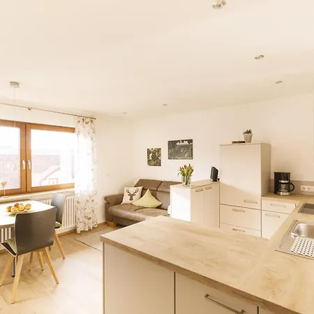 Appartement Kohler Hofquartier à Kappelrodeck Extérieur photo